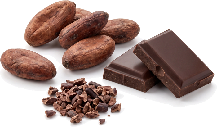 Rich Chocolate