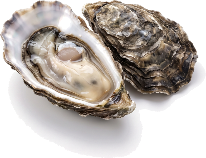 Oyster Peptide